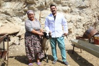 Sakız Koçları Üreticinin Yüzünü Güldürdü