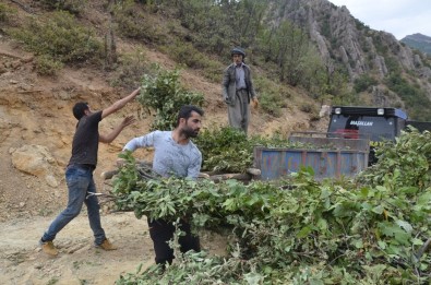 Beytüşşebaplı Köylülerin Zorlu Kış Mesaisi Başladı