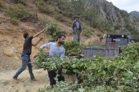 BEYTÜŞŞEBAP - Beytüşşebaplı Köylülerin Zorlu Kış Mesaisi Başladı