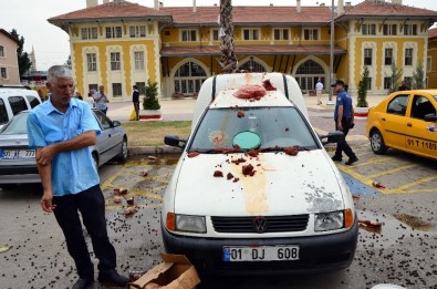 Dolandırıcısını Megafonla Afişe Eden Adam, Bu Kez Zeytinini, Salçasını Yola Döktü