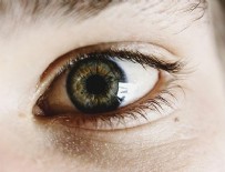 JOHNS HOPKINS ÜNIVERSITESI - Görme bozukluklarının tedavisi için retina üretildi