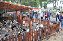 DOĞAL YAŞAM ALANI - Kongre Katılımcılarından Merkeze Tam Not