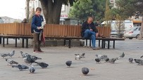 HAYVAN SEVGİSİ - Düzce'nin Güvercinli Meydanları Çocukların İlgi Odağı Oldu