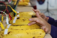 BİLİM ŞENLİĞİ - (Özel) Bilim Şenliğinde Muzla Piyano Çaldılar