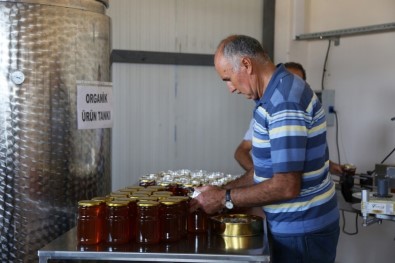 Tunceli'den İngiltere Ve ABD'ye Bal İhracatı