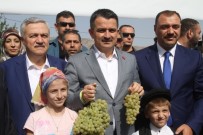 Bakan Pakdemirli'den Mısır Üreticilerine Fiyat Müjdesi