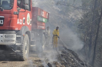 Hatay'da Orman Yangını Sürüyor