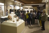 Anadolu Medeniyetler Müzesi'nde Tarihin İlkleri Sergileniyor