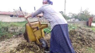 Çiftçi 'Feride Abla'nın Azmi Takdir Topluyor