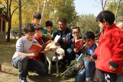 Erzurum'da Kuzulu Çocuk Kütüphanesi