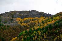 KIŞ MEVSİMİ - Gümüş Şehir Altın Rengine Büründü