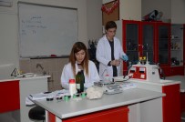 ÇERNOBİL - Hamam Böceğinden Radyasyon Geçirmez Yelek Üretti