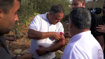 İsrail Askerleri 120 Öğrenciyi Yaraladı