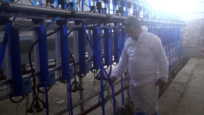 Devlet Desteği İle 'Saanen Irkı' Keçi Çiftliği Kurdu
