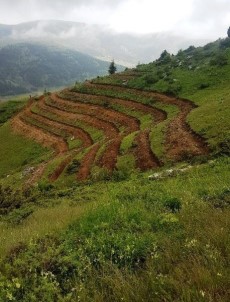 Adana'da Erozyonla Mücadele