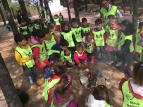 KOZALAK - Anaokulu Öğrenci Eğlenerek Öğreniyorlar