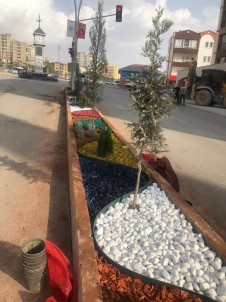 Şırnak'ta Refüjler Çiçek Ve Taşlarla Süsleniyor