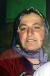 79 Gündür Kayıp Olan Kadın Ölü Bulundu Haberi