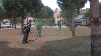 PELITKÖY - Burhaniye' De Parklara Son Sistem Çimlendirme Yapılıyor