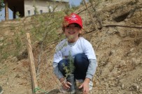 FıRAT ÜNIVERSITESI - Üniversite Ve Anaokulu Öğrencileri Mesire Alanına Fidan Dikti