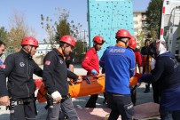 EĞİTİMLİ KÖPEK - AFAD'dan Deprem Tatbikatı