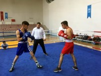 BOKS - Kayseri Boks Büyük Erkekler Final Maçları Yapıldı