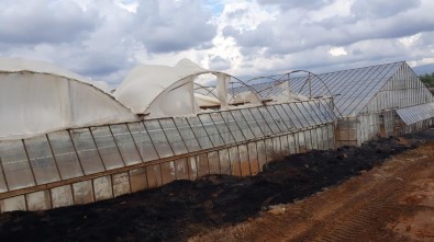 Antalya'da Yangında Seralar Zarar Gördü