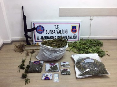 Bursa'da 5 Kilo Esrar Ele Geçirildi