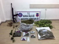 Bursa'da 5 Kilo Esrar Ele Geçirildi