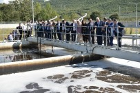 ULUABAT GÖLÜ - Göçmen Kuşları Kurtaracak Arıtma Tesisi Açıldı