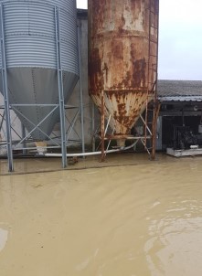 Kaynarca'daki Sel Felaketinde 17 Bin Tavuğu Telef Etti