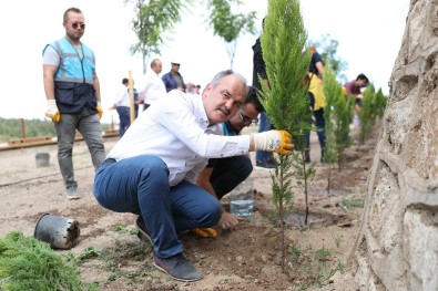 Pamukkaler Belediyesi'nin 'Vizyon Projesi' Yeşilleniyor