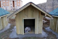 MEHMET SIYAM KESIMOĞLU - Sokaktaki Can Dostlar Unutulmadı