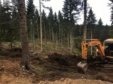 Trabzon Akçaabat'ta Örnek Çalışma