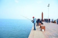 İSMAIL USTAOĞLU - Amatör Balıkçılar Sahile Akın Etti