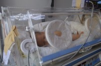 İSTANBUL KARTAL - Ambulans Uçak Rüzgar Bebek İçin Havalandı