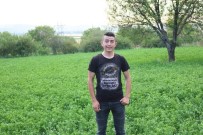 BADEMLI - Ava Giden Genç Kendini Vurdu