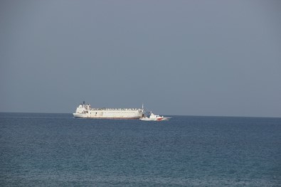 İzmir'den Gelen Angus Yüklü Gemi Körfez Açıklarında Bekletiliyor