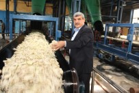 ŞEKER İŞ SENDIKASı - Şeker Fabrikası Pancar Alımı