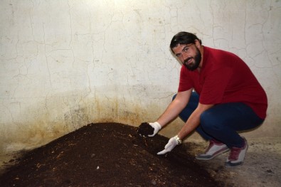 Söke'de Genç Girişimci Evinin Bodrumunda Solucan Gübresi Üretiyor