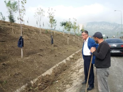 Vezirhan'da Ağaçlandırma Çalışmaları Devam Ediyor