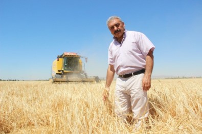Ziraat Odası Başkanı Muğlu Açıklaması 'Kazanamayan Çiftçi Buğday Ekimini Bırakıyor'