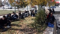 DEĞIRMENLI - Ardahan'da 64 Düzensiz Göçmen Yakalandı