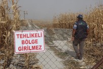 CANLI YAYIN - Obruk Sayısı Artıyor, Çevrede Hayat Devam Ediyor