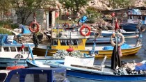 Doğu Karadenizli Balıkçılar Hamsiden Umutlu Değil Haberi