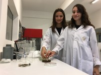 PORTEKIZ - Foça'daki Çevre Felaketinden Etkilenip Denizi 100 Kat Temizleyen Ürün Geliştirdiler