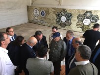 MOZAİK MÜZESİ - Germanicia Mozaikleri Ziyaretçilerini Ağırlıyor