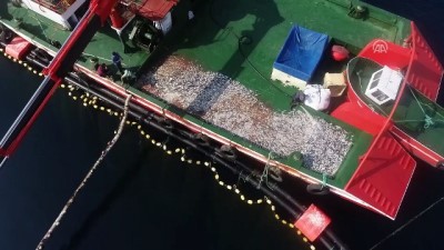 Japon Suşisine Türk Orkinosu