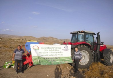 Sungurlu'da 17 Dekarlık Alana Direkt Ekim Yapıldı