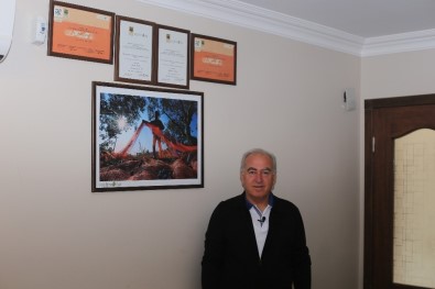 Totoş Açıklaması 'Zeytinyağı Sahteciliğine Aldanmayın'